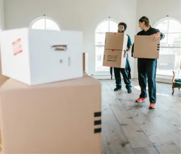 cajas